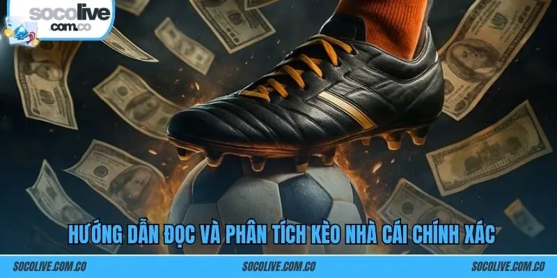 Hướng dẫn đọc và phân tích kèo nhà cái chính xác