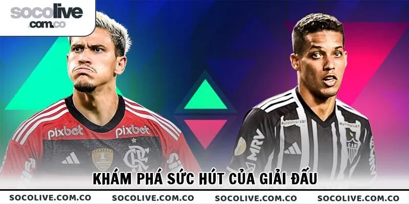 Khám phá sức hút của Campeonato Brasileirão Série A
