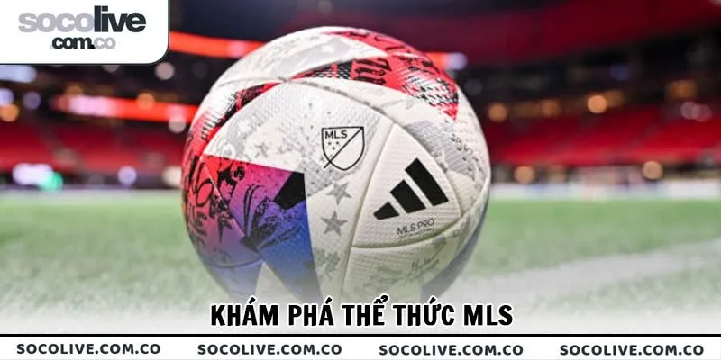 Khám phá thể thức MLS