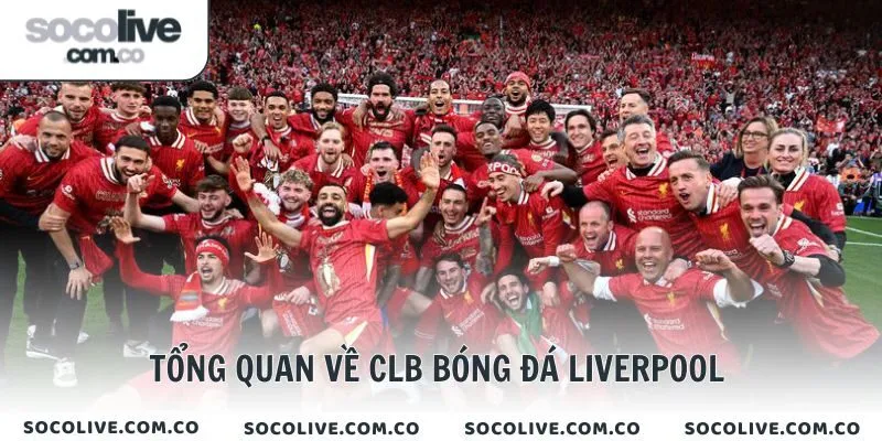 Tổng quan về CLB bóng đá Liverpool 