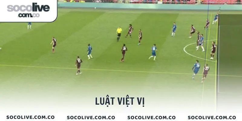 luật việt vị