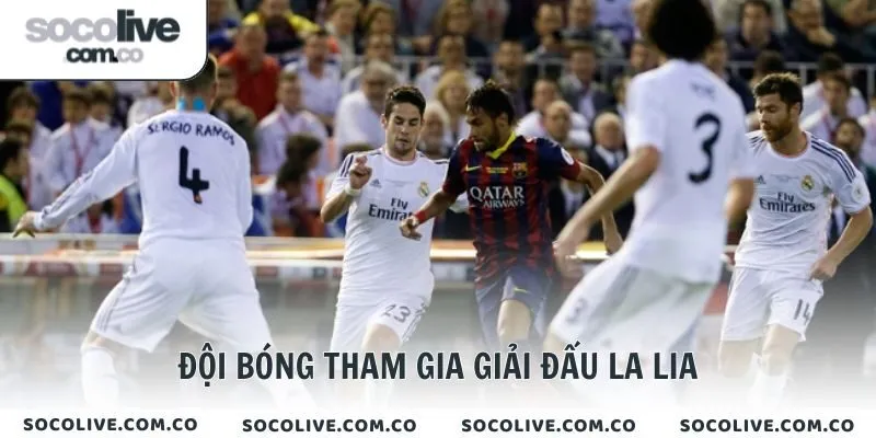 Đội bóng tham gia giải đấu La Lia