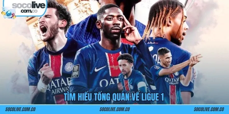 Tìm hiểu tổng quan về Ligue 1 