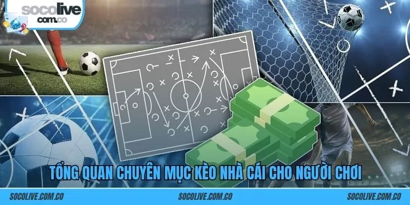 Tổng quan Kèo nhà cái cho người chơi